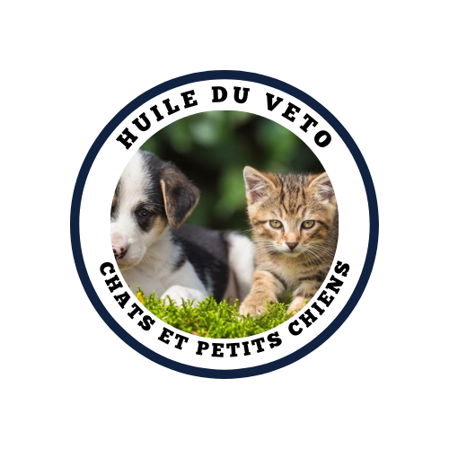 huile cbd chats et petits chiens