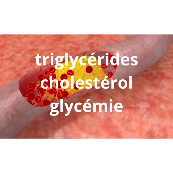 triglycerides cholesterol glycemie