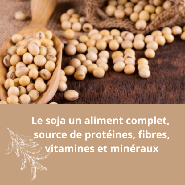 soja aliment complet