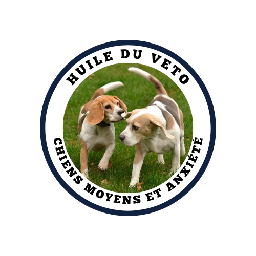 Huile du veto chiens moyens anxiete